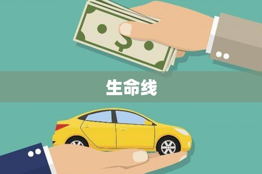 米脂生命线