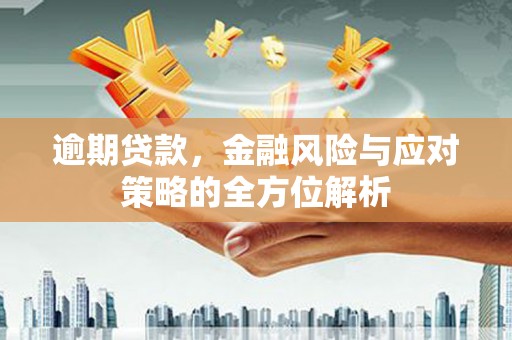 米脂逾期贷款，金融风险与应对策略的全方位解析