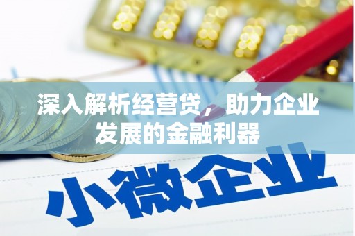 米脂深入解析经营贷，助力企业发展的金融利器