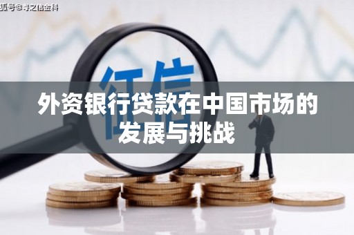 米脂外资银行贷款在中国市场的发展与挑战