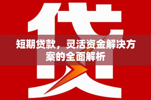 米脂短期贷款，灵活资金解决方案的全面解析