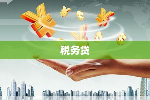 米脂税务贷
