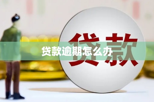 米脂贷款逾期怎么办