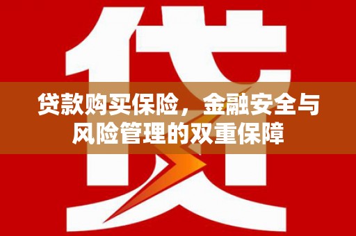 米脂贷款购买保险，金融安全与风险管理的双重保障