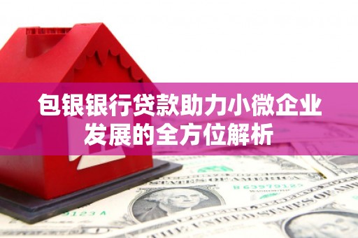 米脂包银银行贷款助力小微企业发展的全方位解析