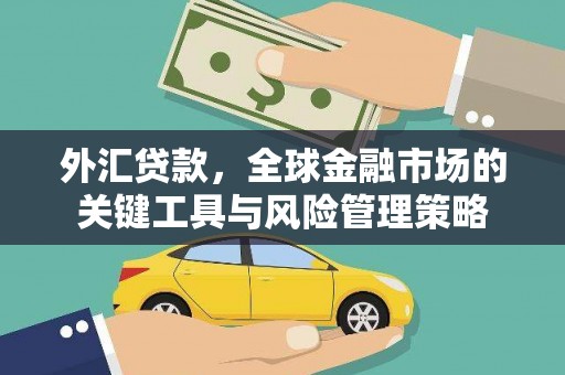 米脂外汇贷款，全球金融市场的关键工具与风险管理策略