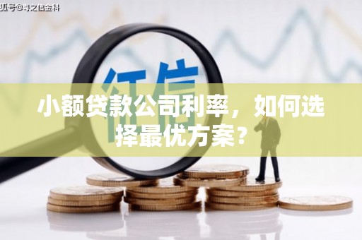 米脂小额贷款公司利率，如何选择最优方案？