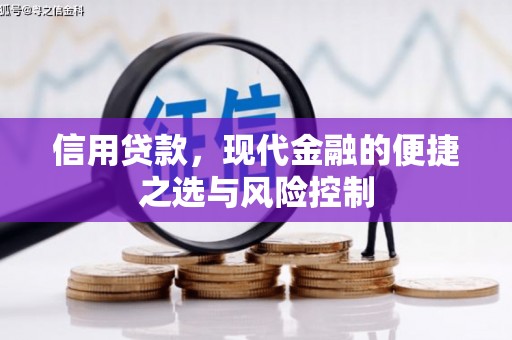 米脂信用贷款，现代金融的便捷之选与风险控制