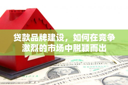 米脂贷款品牌建设，如何在竞争激烈的市场中脱颖而出