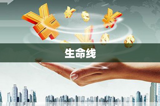 米脂生命线