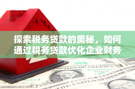 米脂探索税务贷款的奥秘，如何通过税务贷款优化企业财务