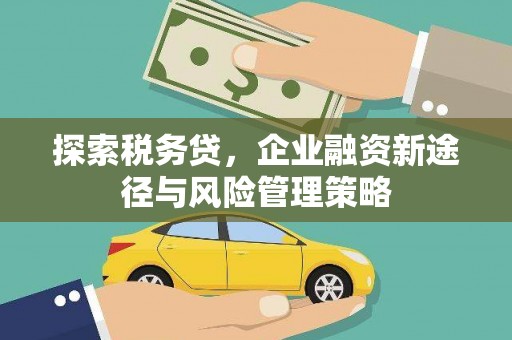 米脂探索税务贷，企业融资新途径与风险管理策略