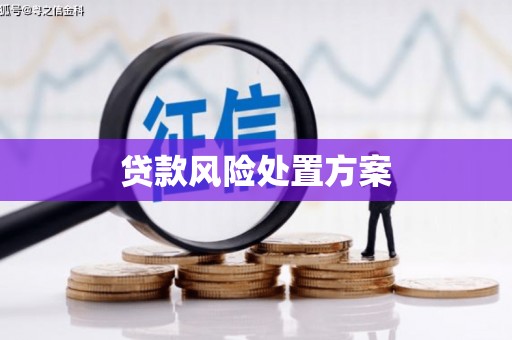 米脂贷款风险处置方案