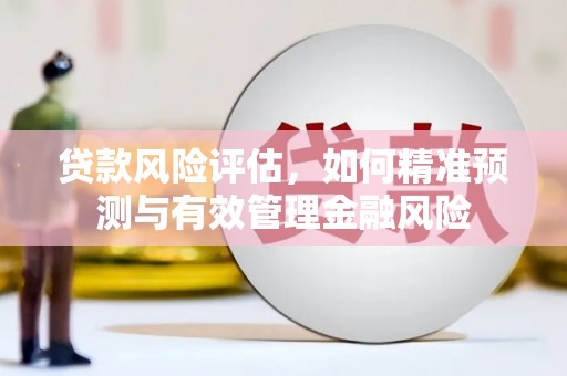 米脂贷款风险评估，如何精准预测与有效管理金融风险