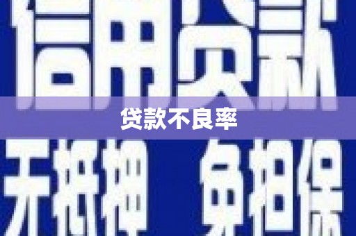 米脂贷款不良率