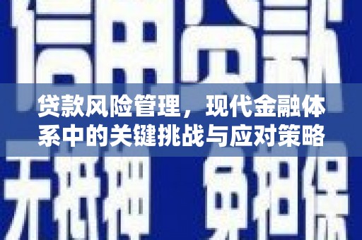 米脂贷款风险管理，现代金融体系中的关键挑战与应对策略