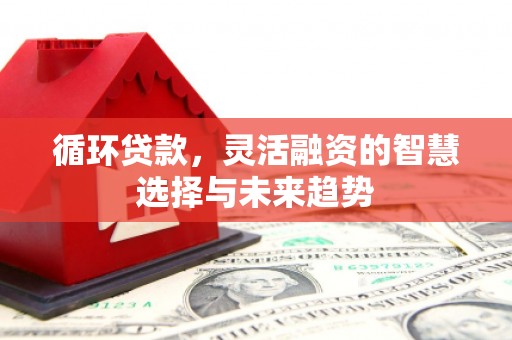 米脂循环贷款，灵活融资的智慧选择与未来趋势