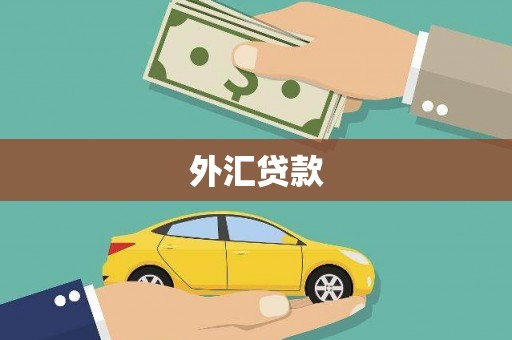 米脂外汇贷款