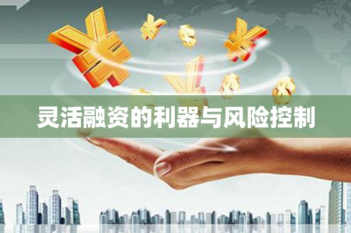 米脂灵活融资的利器与风险控制