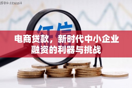 米脂电商贷款，新时代中小企业融资的利器与挑战