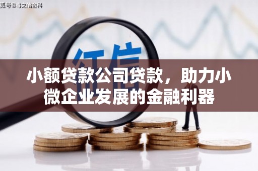 米脂小额贷款公司贷款，助力小微企业发展的金融利器