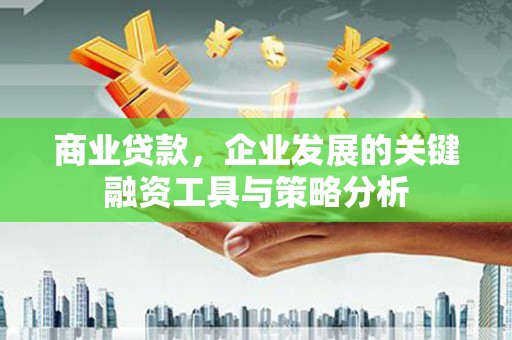 米脂商业贷款，企业发展的关键融资工具与策略分析
