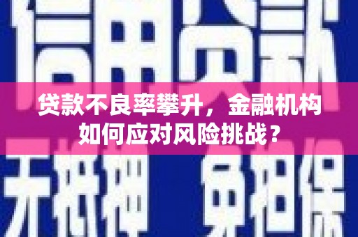 米脂贷款不良率攀升，金融机构如何应对风险挑战？