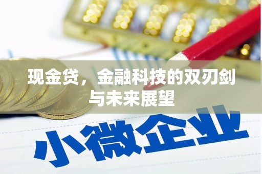 米脂现金贷，金融科技的双刃剑与未来展望