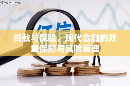 米脂贷款与保险，现代金融的双重保障与风险管理