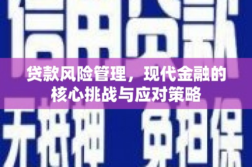 米脂贷款风险管理，现代金融的核心挑战与应对策略