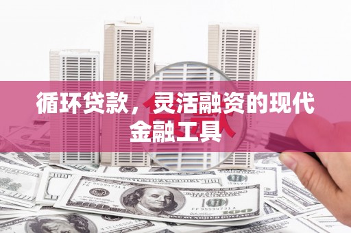 米脂循环贷款，灵活融资的现代金融工具