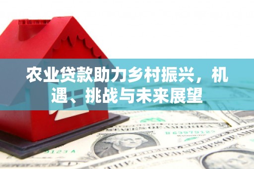 米脂农业贷款助力乡村振兴，机遇、挑战与未来展望