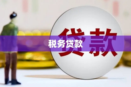 米脂税务贷款