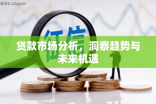 米脂贷款市场分析，洞察趋势与未来机遇