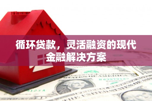 米脂循环贷款，灵活融资的现代金融解决方案