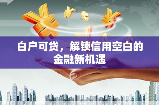 米脂白户可贷，解锁信用空白的金融新机遇