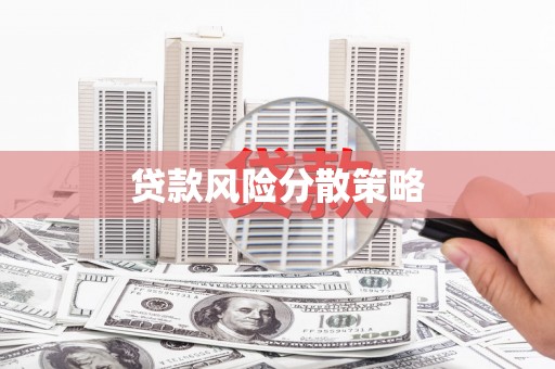米脂贷款风险分散策略