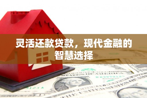 米脂灵活还款贷款，现代金融的智慧选择