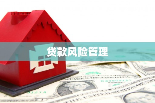 米脂贷款风险管理