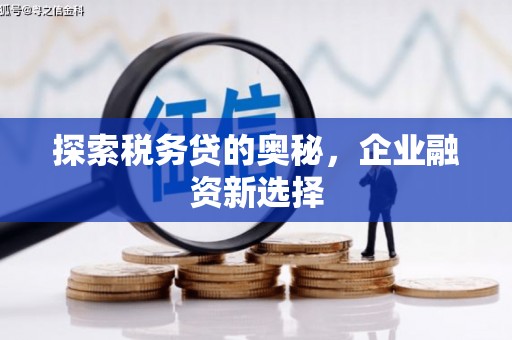 米脂探索税务贷的奥秘，企业融资新选择