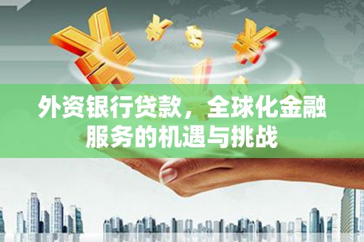 米脂外资银行贷款，全球化金融服务的机遇与挑战