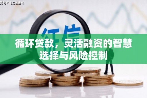 米脂循环贷款，灵活融资的智慧选择与风险控制