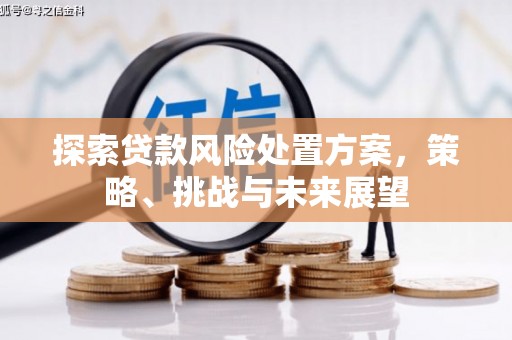 米脂探索贷款风险处置方案，策略、挑战与未来展望