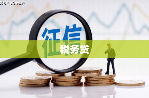 米脂税务贷