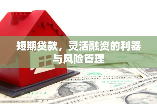 米脂短期贷款，灵活融资的利器与风险管理