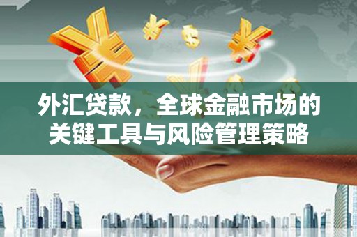 米脂外汇贷款，全球金融市场的关键工具与风险管理策略