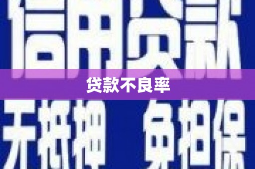 米脂贷款不良率
