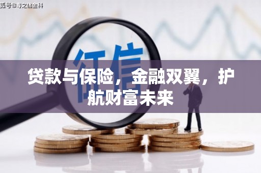 米脂贷款与保险，金融双翼，护航财富未来