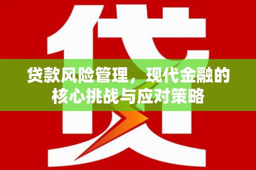 米脂贷款风险管理，现代金融的核心挑战与应对策略