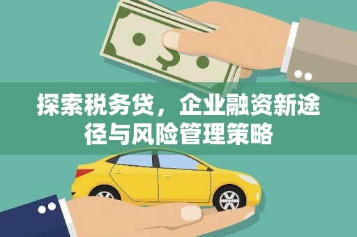 米脂探索税务贷，企业融资新途径与风险管理策略